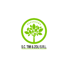 Pepiniera Timi & Zoli